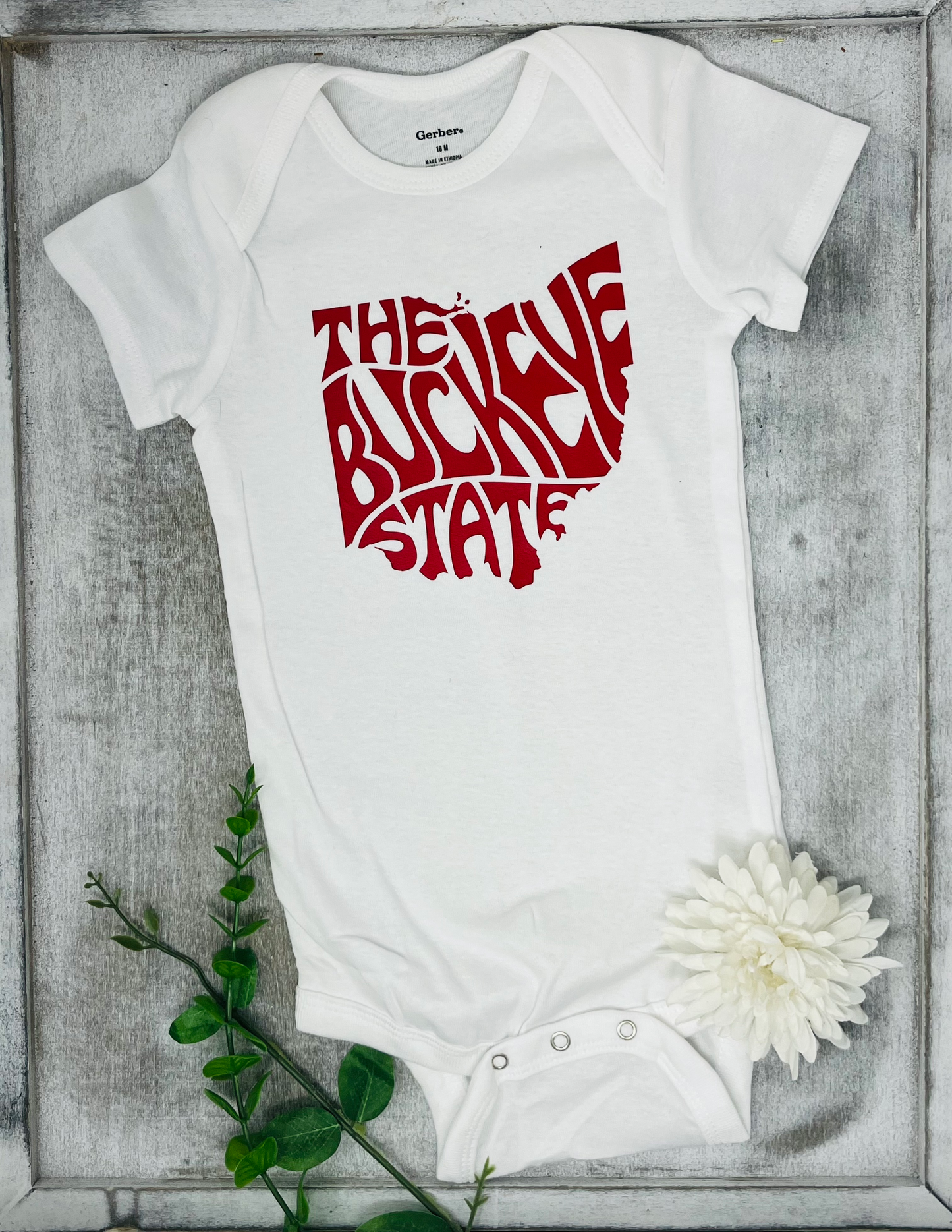The Buckeye State Baby Onesie
